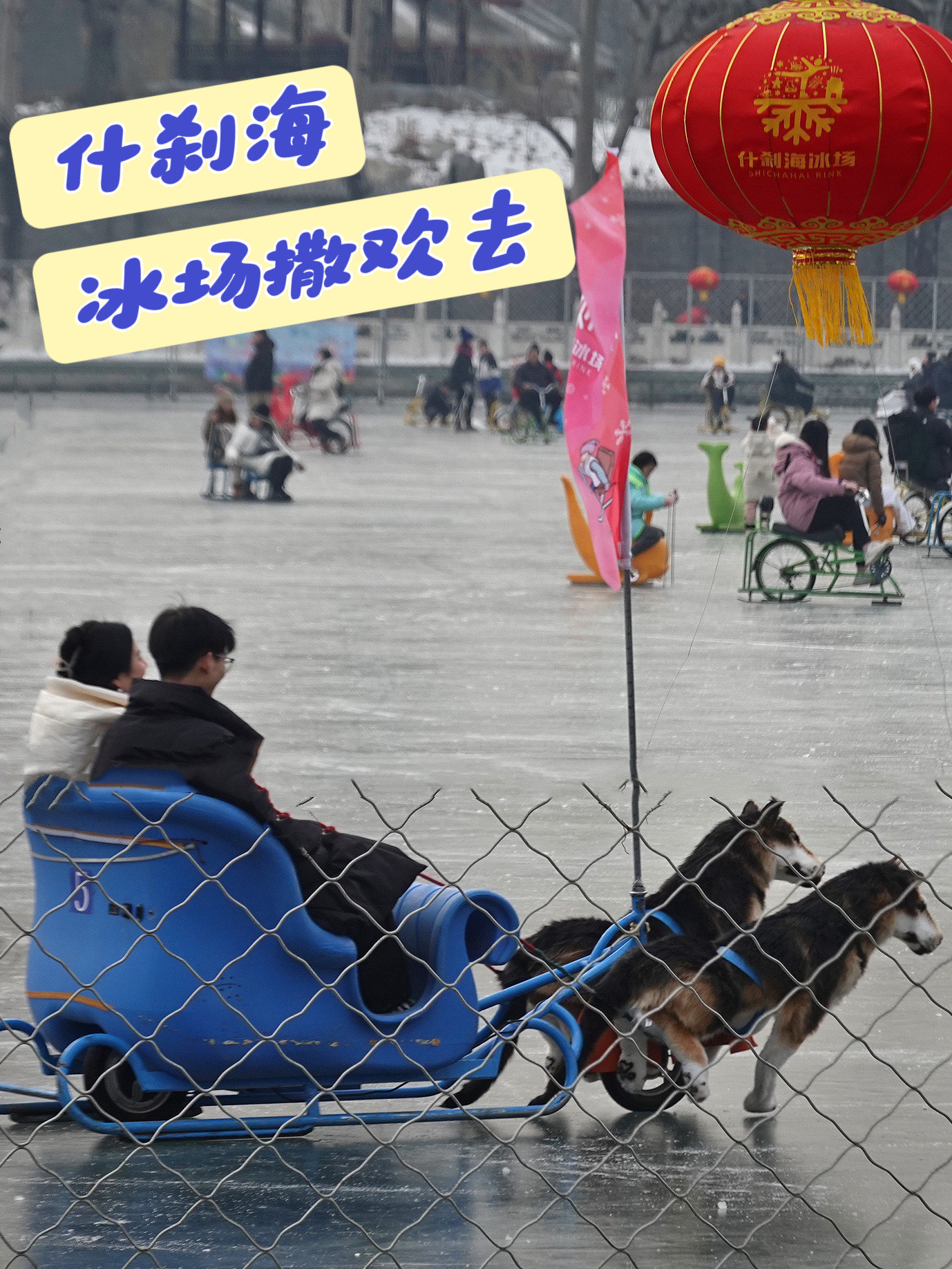 什刹海冰场撒欢去