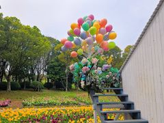 -上海鲜花港