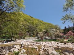 -嘉陵江源头景区