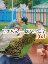 -萌宠亲子动物乐园(槐房万达店)