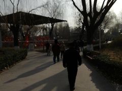 -康庄公园