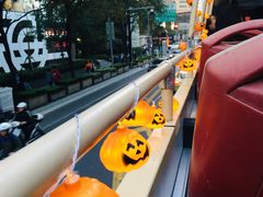 -BUS TOUR观光巴士