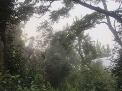 -紫金山山顶公园
