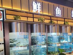 -老船舫·现做活鲜鱼馆(东郊记忆店)