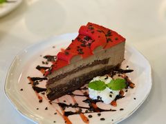 -飞行喵MR PILOT|猫舍·猫咖(静安大融城店)