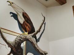 -秦小牛煎肉餐厅(河北大街总店)