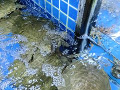 -徐记海鲜(大明宫|北二环店)
