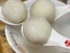 -海丝金凤(金鱼店)