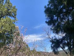 -香山公园