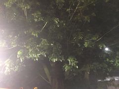 -金砂公园