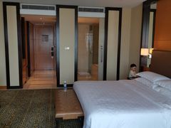 -济南喜来登酒店