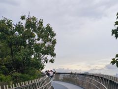 -福道
