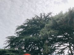 -公主楼