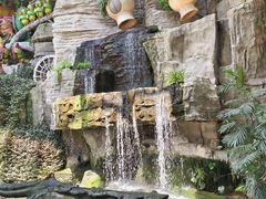 -南宫五洲植物乐园