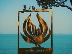 -杨梅坑
