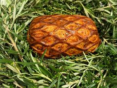 -Le Bistrot de Racine