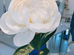 -九献创意菜·牛排馆(亮马河花园店)