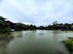 -春色如许·茶食餐厅(桃李春风店)