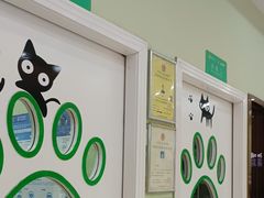 -瑞鹏宠物医院·夜间急症·心超·猫科(祖庙分店)