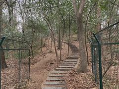 -紫金山山顶公园