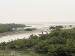 -北海金海湾红树林生态旅游区