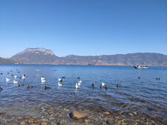 -丽江泸沽湖景区