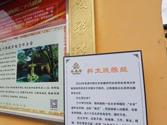 -会龙寺