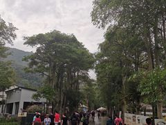 -瑞穗牧场