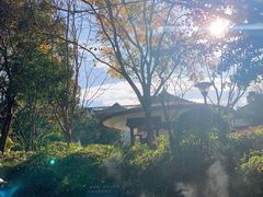-苏州湾·王焰温泉