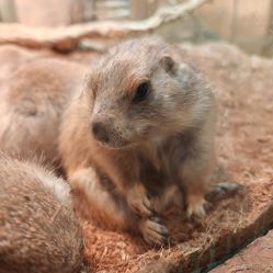 -Zoolung Zoolung动物主题公园(海信广场店)