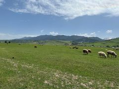 -新疆那拉提国家旅游度假区
