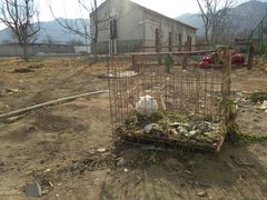 -大自然农场蔬菜草莓采摘园