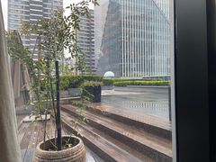 -凤凰湘语(浦东旗舰店)