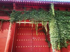 -天龙宝严素食馆(大兴善寺店)