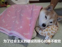 -旺豪阳光超市(友谊阳光城店)