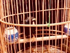 -到家尝北京菜(西坝河店)