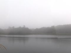 -海南热带雨林国家公园吊罗山景区