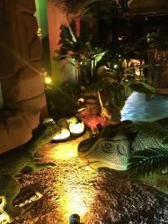 -恐龙探索乐园(磁器口店)