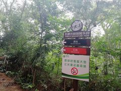 -芦仙山景区-飞越丛林探险乐园