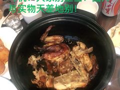垃圾中的战斗机-财神鸡-岚县土豆宴(总部)