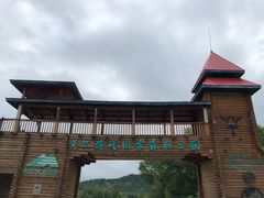 -莫尔道嘎国家森林公园
