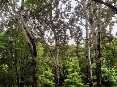 -玲珑塔公园