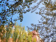 -黑龙江大学