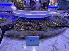 -澜悦港海鲜体验主题餐厅