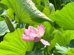 -莲池书院博物馆