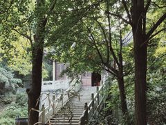 -雨花胜境