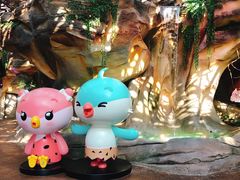 -杭州开元森泊度假乐园