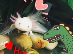 -上海大自然野生昆虫馆