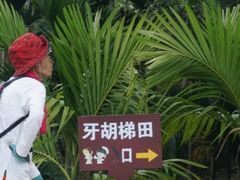 -牙胡梯田