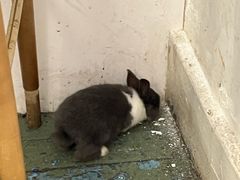 -大象厨房(重庆道店)